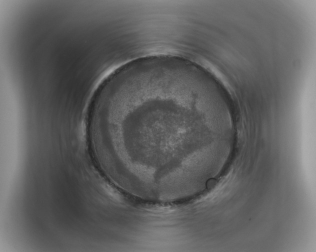 X0000113370975200909151356