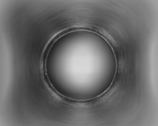X0000113370976200909151356