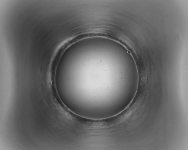 X0000113370979200909151356