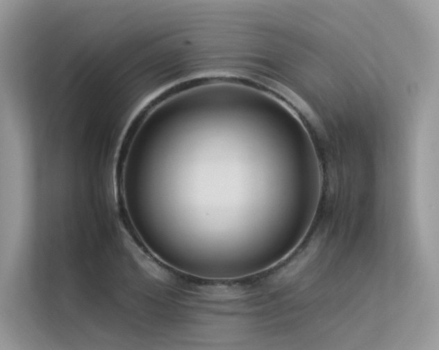 X0000113370980200909151356