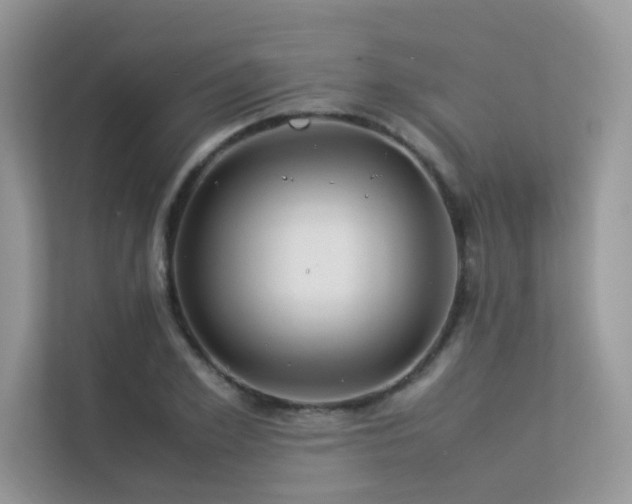 X0000113370981200909151356