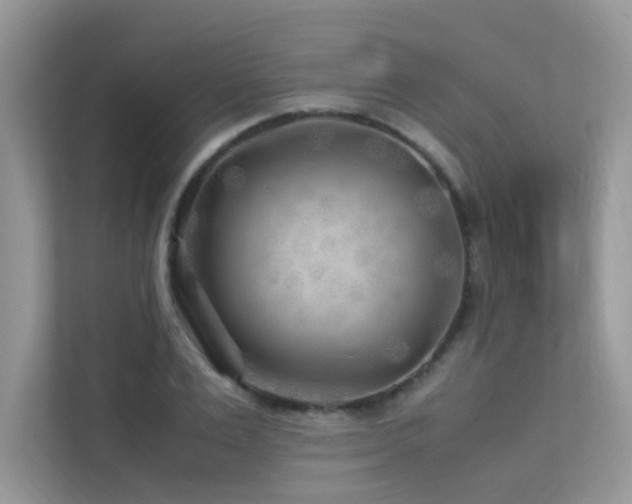 X0000113370983200909151356