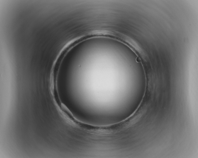 X0000113370984200909151356