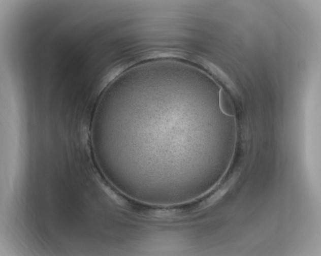 X0000113370985200909151356
