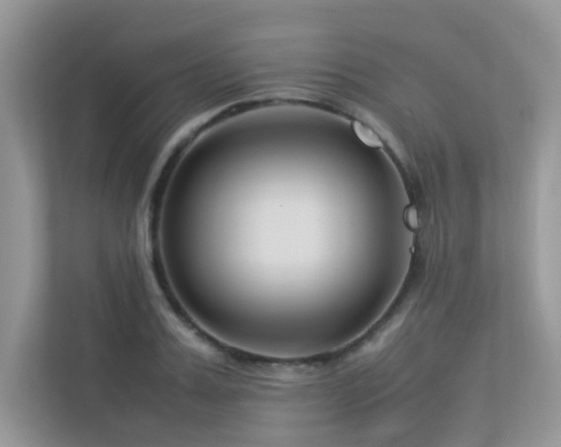 X0000113370987200909151356