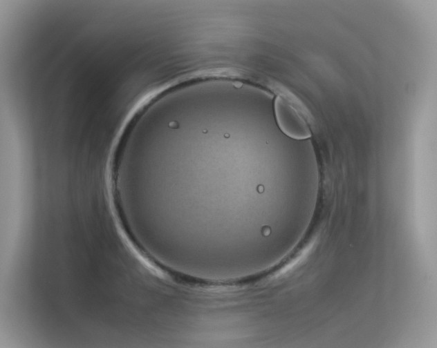 X0000113370989200909151356
