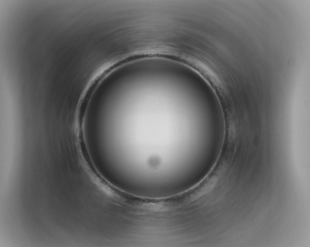 X0000113370990200909151356