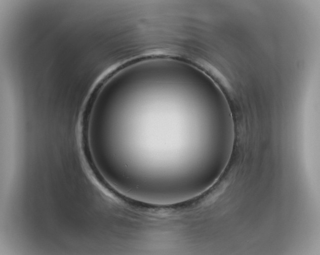 X0000113370991200909151356