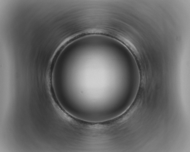 X0000113370992200909151356