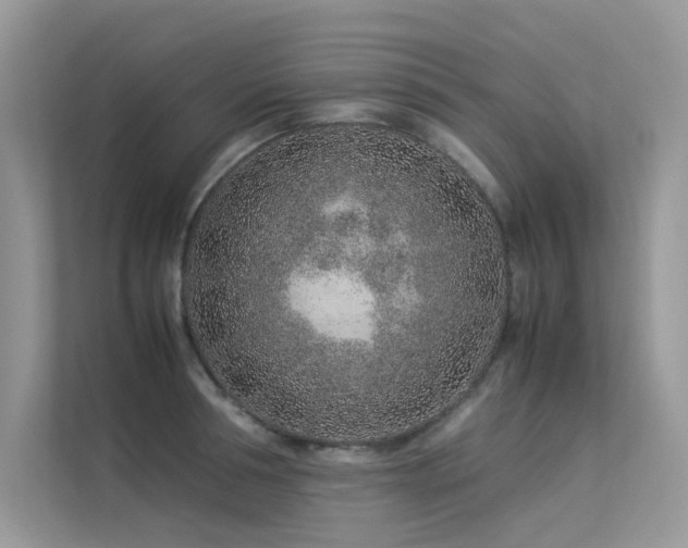 X0000113370994200909151356