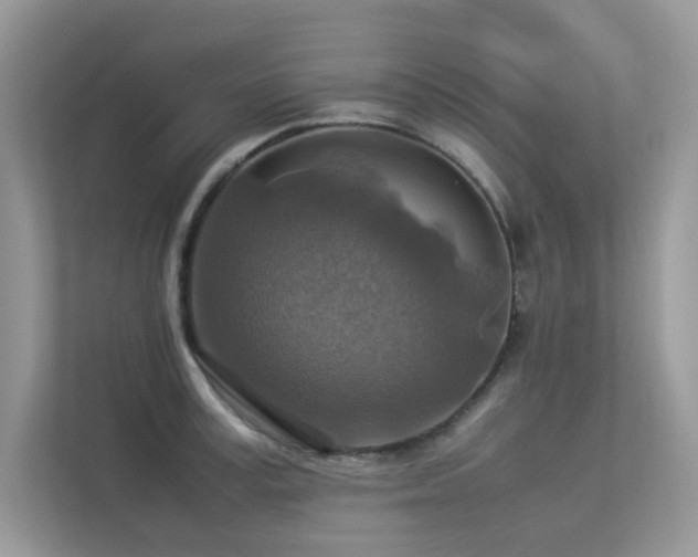 X0000113370995200909151356