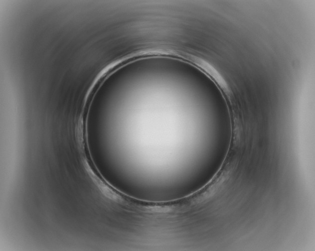 X0000113370996200909151356