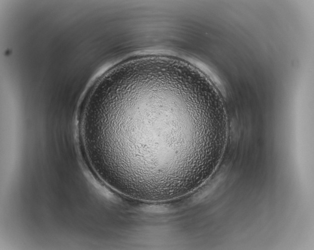 X0000113370998200909151356