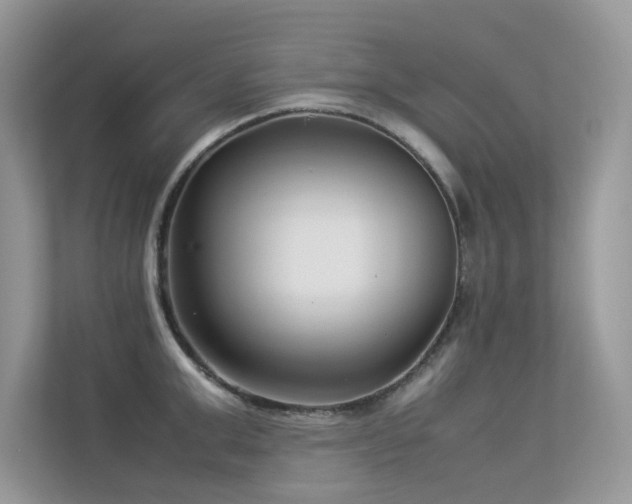 X0000113370999200909151356