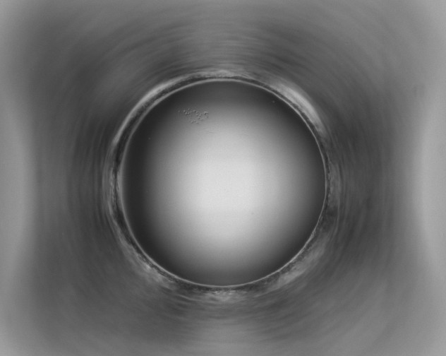 X0000113371000200909151356