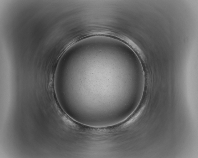 X0000113371001200909151356