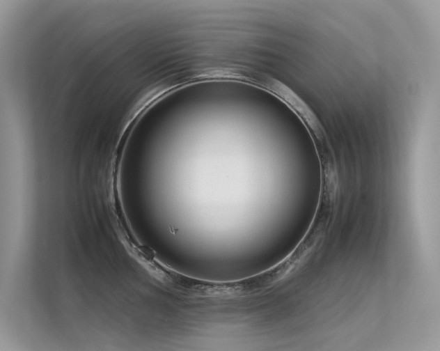 X0000113371002200909151356