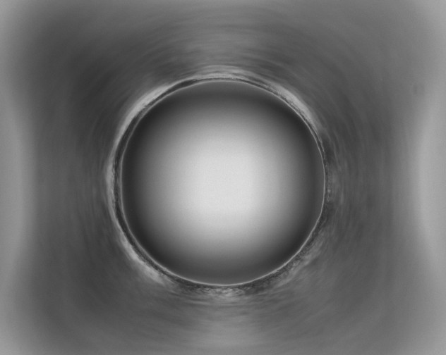 X0000113371003200909151356