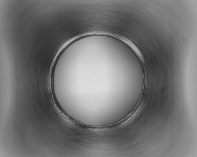 X0000113371004200909151356