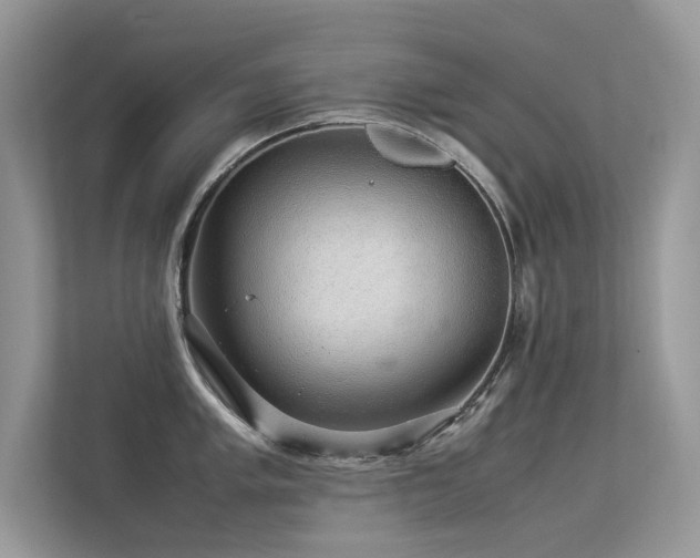 X0000113371005200909151356