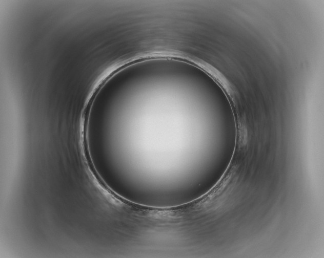 X0000113371006200909151356
