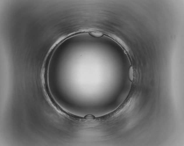 X0000113371007200909151356