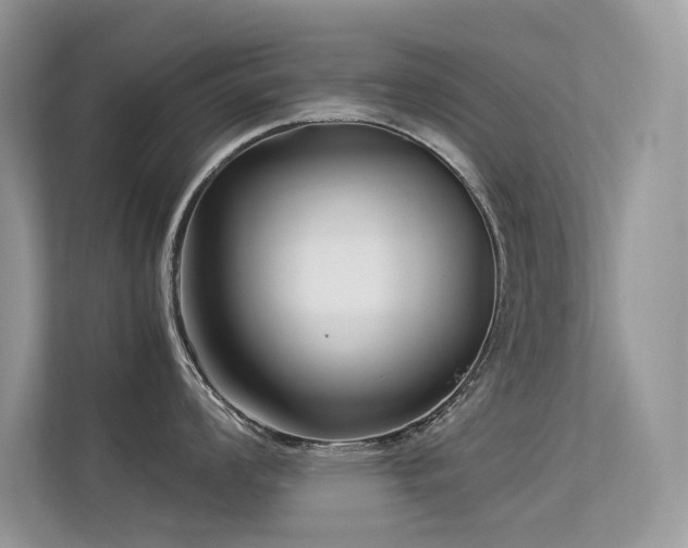 X0000113371008200909151356
