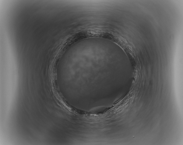 X0000113371009200909151355