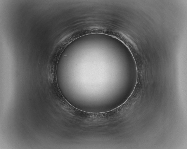 X0000113371015200909151355