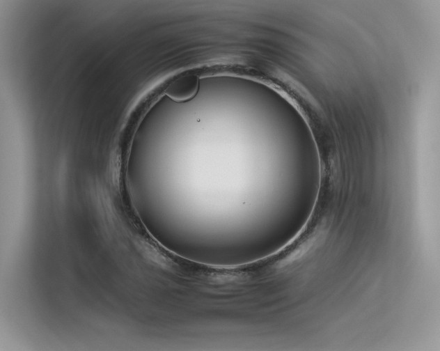 X0000113371021200909151355