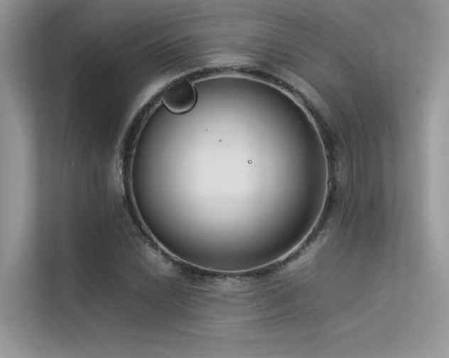 X0000113371022200909151355