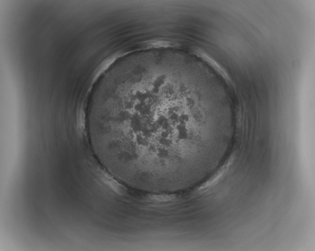 X0000113371023200909151355
