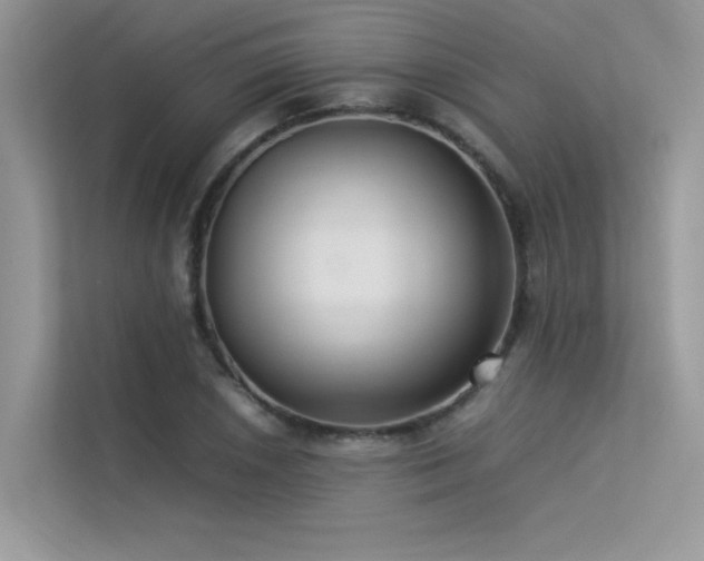 X0000113371026200909151355