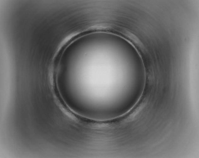 X0000113371030200909151355