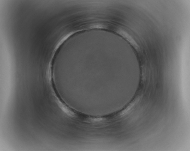 X0000113371031200909151355