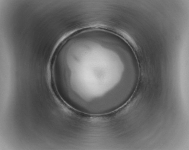 X0000113371032200909151355