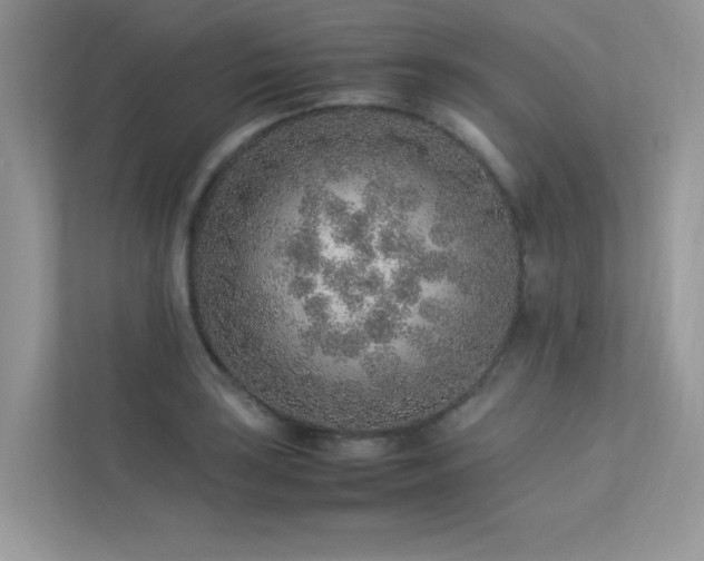 X0000113371035200909151355