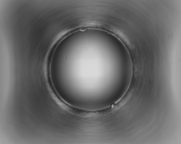 X0000113371038200909151355