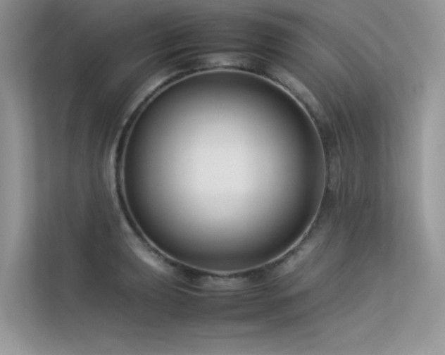 X0000113371039200909151355