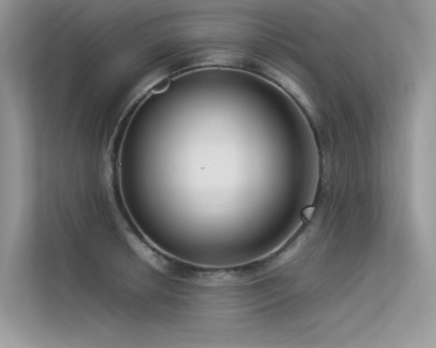 X0000113371042200909151355