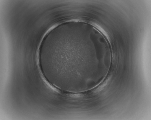 X0000113371045200909151355