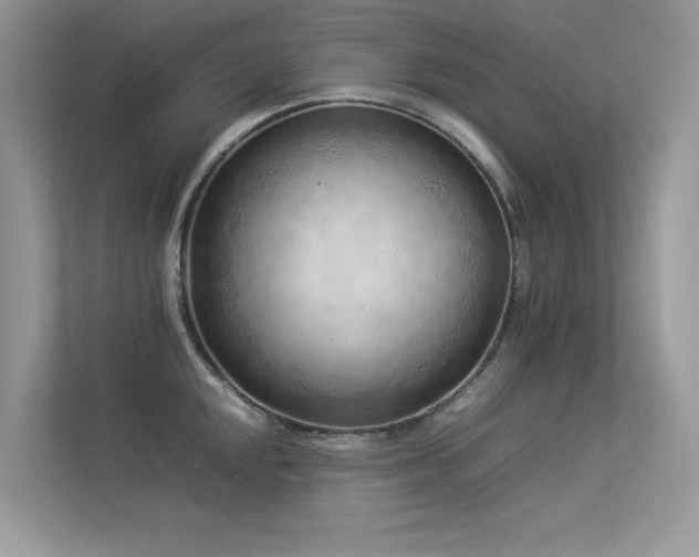 X0000113371048200909151355