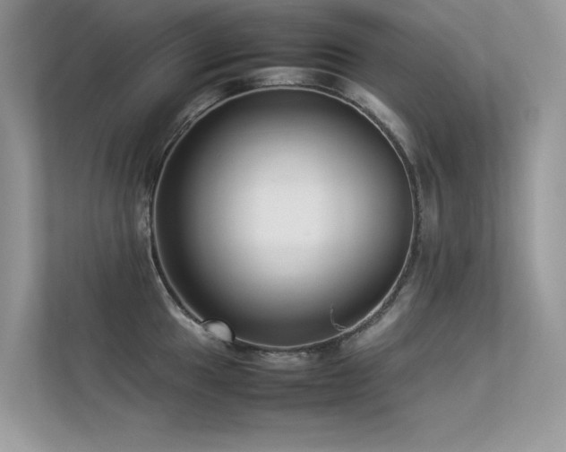 X0000113371049200909151355