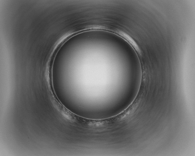 X0000113371051200909151355