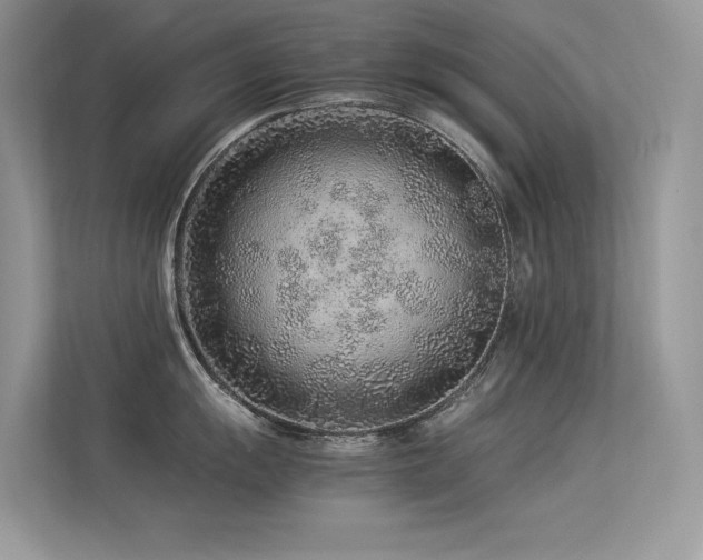 X0000113371055200909151356