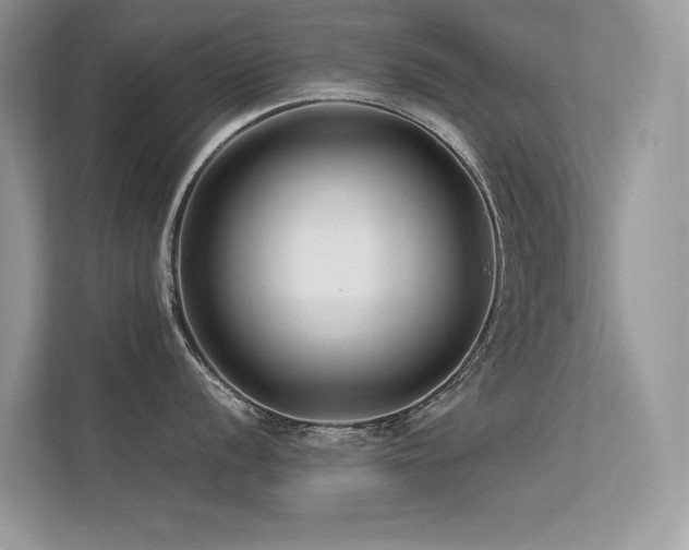 X0000113371056200909151356