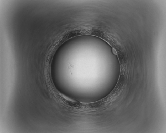 X0000113371057200909151355