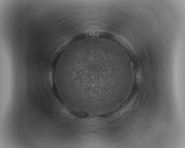 X0000113371060200909151355