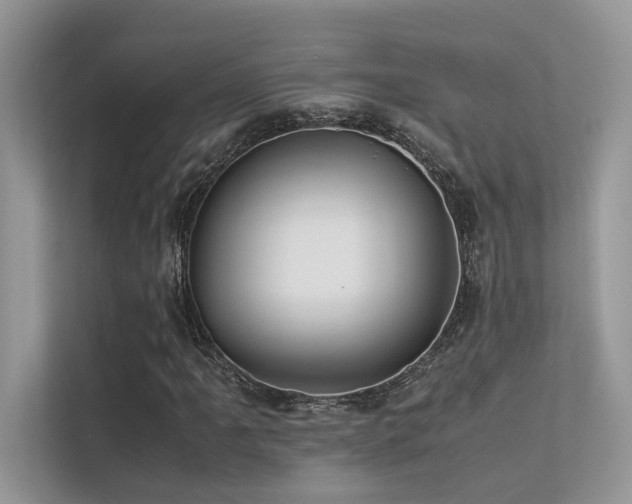 X0000113371061200909151355