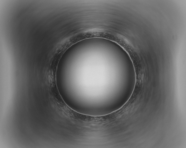 X0000113371062200909151355